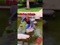 Jaldi Waha Sa Hato Shorts Viral Bdkacomedy Funnyvideo Comedyshorts