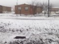 Snow Falling