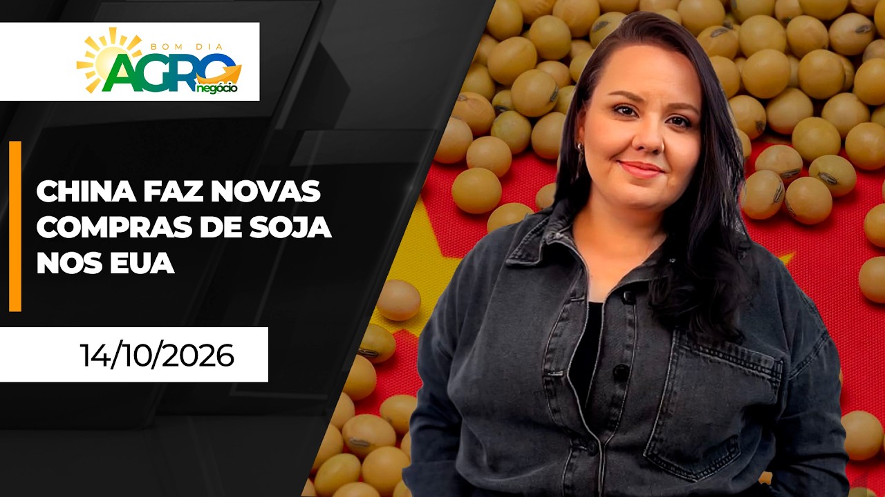 Bom Dia Agro - China volta às compras nos EUA e soja sobe em Chicago