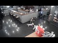 Hund Tötet Kleinen Hund
