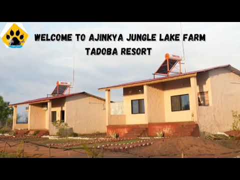 Ajinkya Jungle Lake Farms Tadoba | A Peaceful Luxury Stay Amidst Nature  #tadobajunglesafari #viral