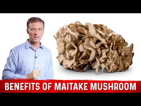 , title : 'Amazing Health Benefits of Maitake Mushroom – Dr.Berg'