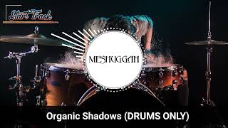 Meshuggah - Organic Shadows (DRUMS ONLY)