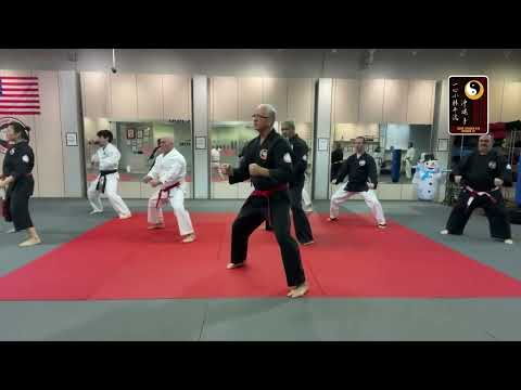 Seiuchin Bunkai – Shihan Kevin Holton