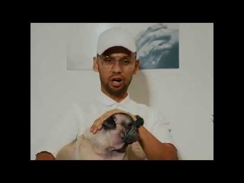 THELIONCITYBOY - Start Already