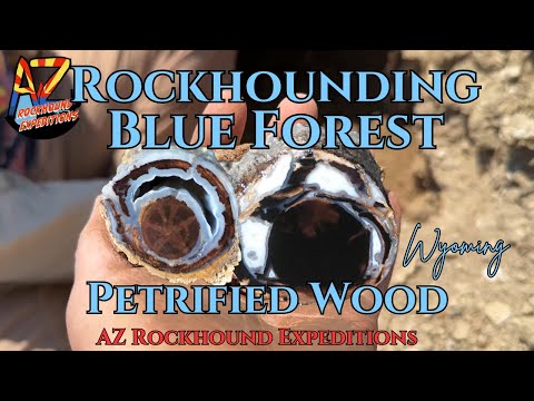 Rockhounding Blue Forest for Petrified Wood Wyoming!