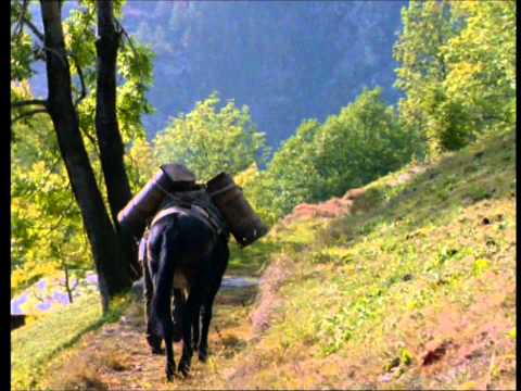 Reben, Wein und Driel