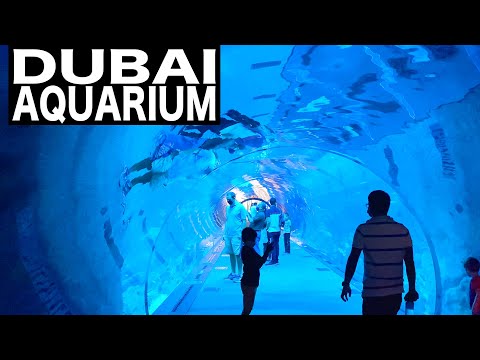 Dubai Aquarium & Underwater Zoo video thumbnail