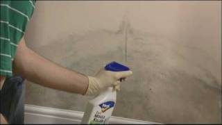 How to remove mould from walls and ceilings