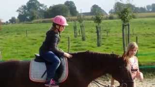 preview picture of video 'Paardrijden bij vakantiewoningen Herlaeve'