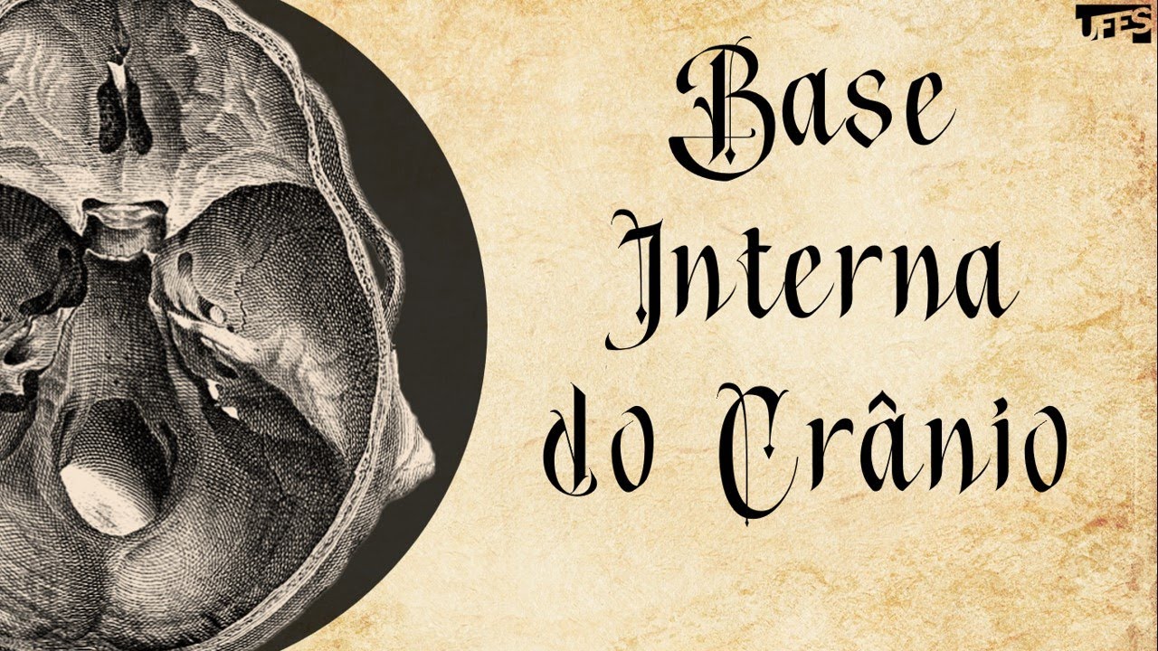Base Interna do Crânio (Internal Surface of the Cranial Base) | Prof. Eduardo Beber - Anatomia/UFES