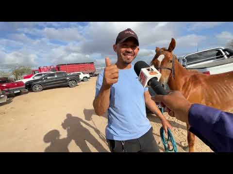 Cavalos de 200 Reais em Senador Rui Palmeira - AL 27 - 01 - 2026 #nordeste