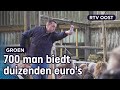 Koeienveiling: veestapel boer noodgedwongen onder hamer | RTV Oost