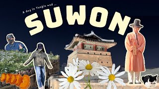 A Cultural Day in Suwon &amp; Yongin: Exploring Folk Village and Hwaseong Fortress! 수원과 용인에서의 문화 탐방