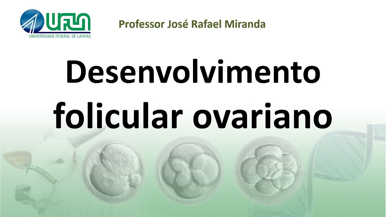 Desenvolvimento folicular ovariano