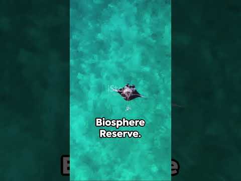 Experience Maldives: Best Places to Explore