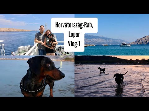 Irány Horvátország 🌴☀️ 2 kutyával 🐶 RAB sziget , Kompozás, LOPAR💦  #horvátország #rabsziget #lopar