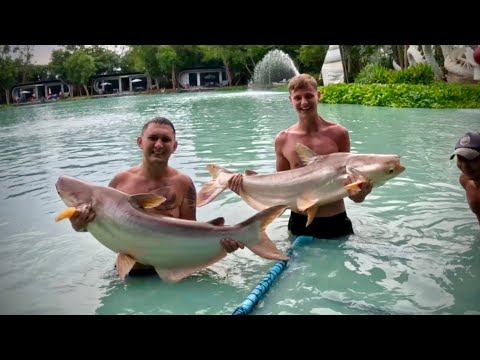 Catching MONSTER Fish With Riskyregg 🇹🇭