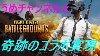 #2　おのっしーとうめが逝く「PUBG（PC版）」　ドン勝目指して【生配信】