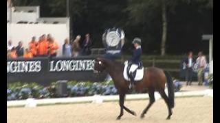 Un nouvel étalon par Vivaldi pour Diederik Van Silfhout