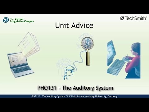 PHO131 - Unit Advice (The Auditory System)