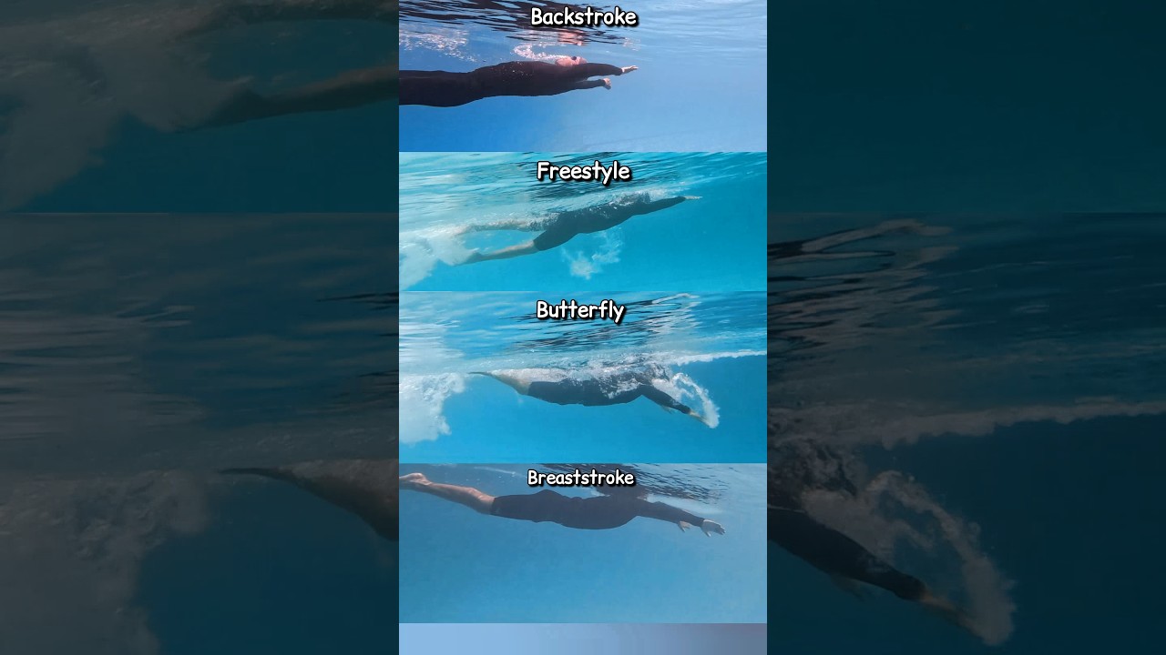 All 4 Swimming Stroke - what's your favourite ? #swimming #learnswimming #swimmingtips