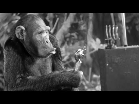 Closing scene from "Tarzan Triumphs" (1943) with Johnny Weissmuller