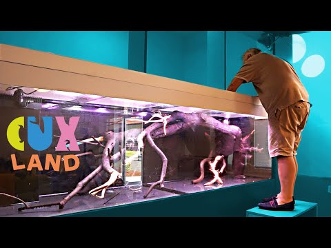 2000Liter Nature Style Tank - AQUASCAPING IDEAS