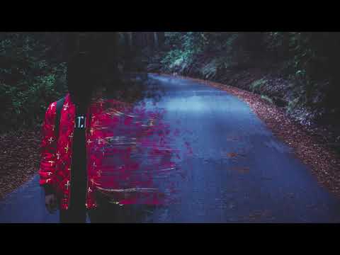 imer6ia - Forest of the weird