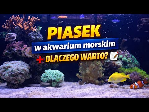 PIASEK W AKWARIUM MORSKIM – CZY WARTO? #akwariummorskie 