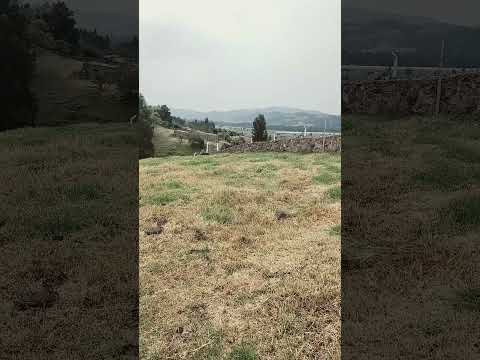 Tibasosa Boyacá vereda Espartal bajo