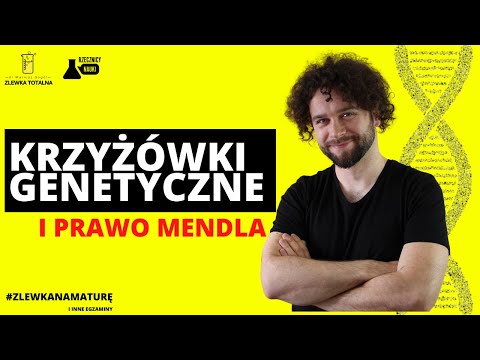 GENETIC CROSSES [MENDEL'S LAW] - Classical Genetics [Biology Matura 2023]