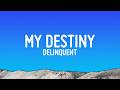 Delinquent - My Destiny (2026 Edit) (Lyrics)