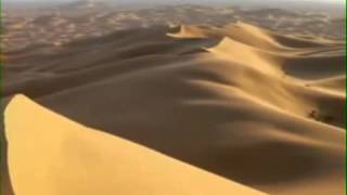 Alison Krauss &amp; Robert Plant   Trampled Rose Tom Waits