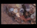 THE SKY TREMBLES AND THE EARTH IS AFRAID AND THE TWO EYES ARE NOT BROTHERS Trailer