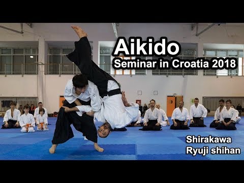 Aikido Seminar in Croatia 2018 - Shirakawa Ryuji shihan