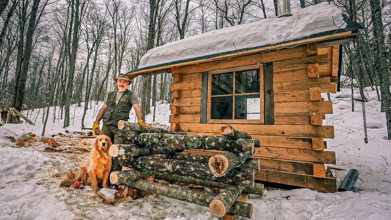 Sleeping Loft in the Off-grid Tiny House, Mushroom Log Cabin in the Woods