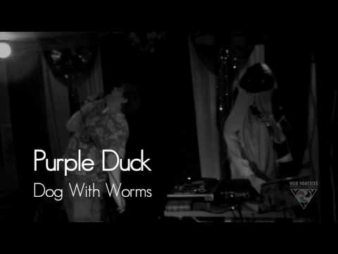 Dog With Worms (live) - Purple Duck
