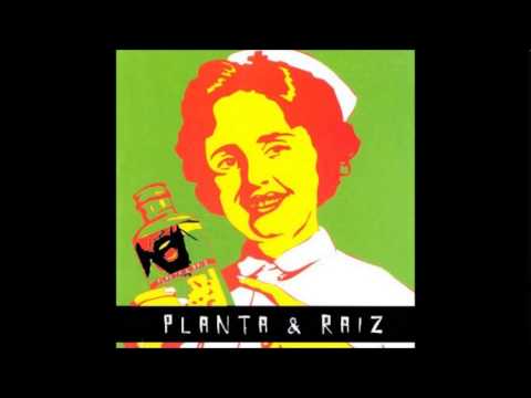 Planta e Raiz - Este é o Remédio (CD Full)