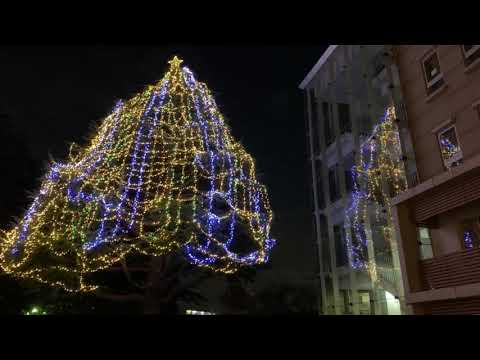 英語文化学科 2020関東学院中高クリスマスツリー