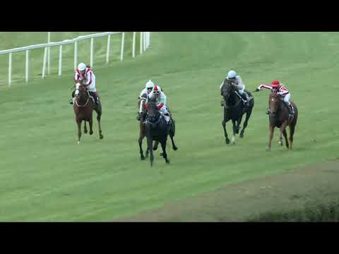 2017.10.08. 7. futam - NEMZETKÖZI AMATŐRVERSENY HENDIKEP-KINCSEM PARK FOTÓSAINAK DÍJA (IV.o.)