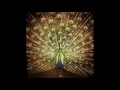 Ani Difranco - Zoo