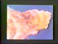 The Toasters [Music Video] Radiation Skank