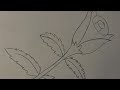 How To Draw A Flower Step By Step Esey Drawing Magnetic Boys Magnetic Design