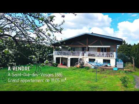 Appartement SAINT-DIÉ-DES-VOSGES 6 pièces 111 m2