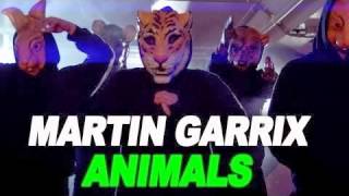 Martin Garrix Animals (radio edit) HD