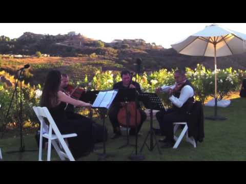 California Gurls (Katy Perry) - Organic String Quartet -Wedding String Quartet
