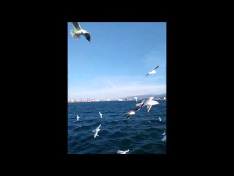 Alper Karaağaçlı -- Ud Dinletisi