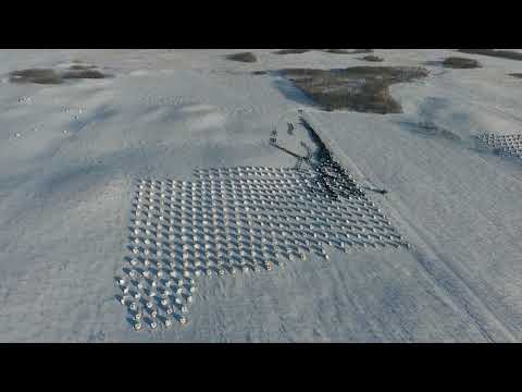 Nerbas Bros  Angus - Bale Graze Move Feb 9 2018