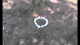 Caramelos - España. Dani Martin caramelos.